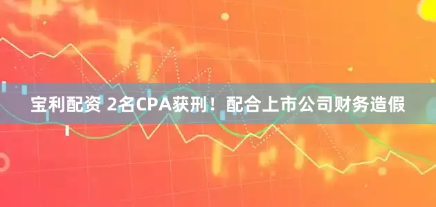 宝利配资 2名CPA获刑！配合上市公司财务造假