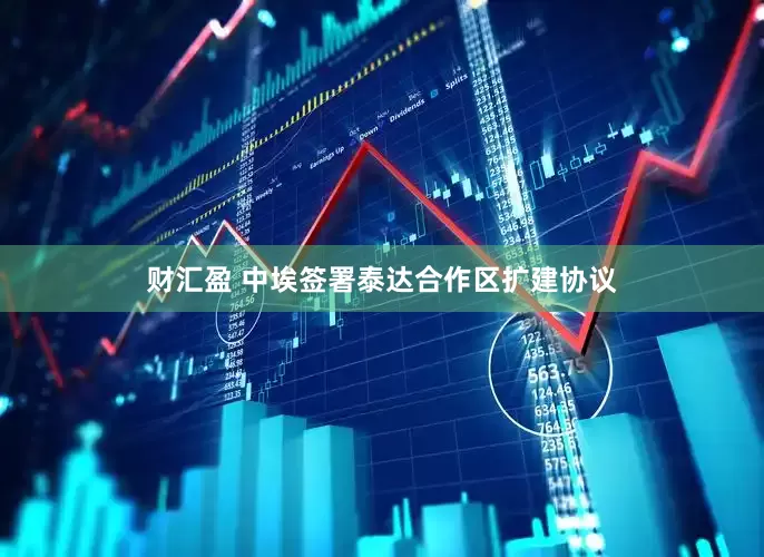 财汇盈 中埃签署泰达合作区扩建协议